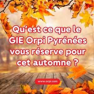 Les projets du GIE Orpi Pyrénées