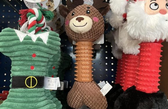 Vos petits compagnons aussi ont droit à leur Noël !