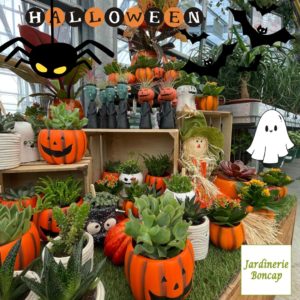 Halloween arrive chez Jardinerie Boncap !