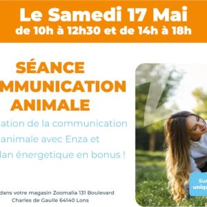 Séance communication animale