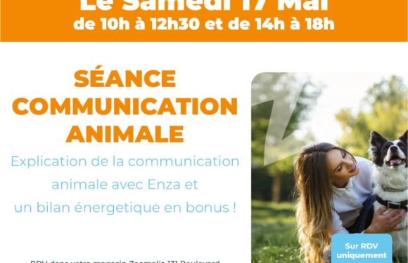 Séance communication animale