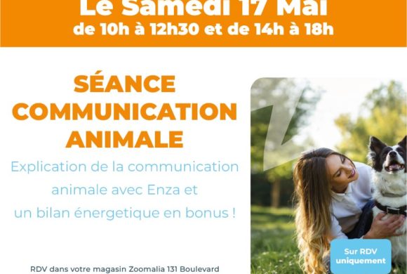 Séance communication animale
