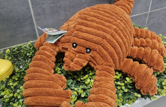 Des peluches XXL !