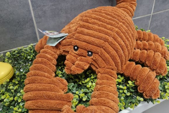 Des peluches XXL !