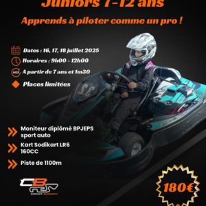 Stage de pilotage