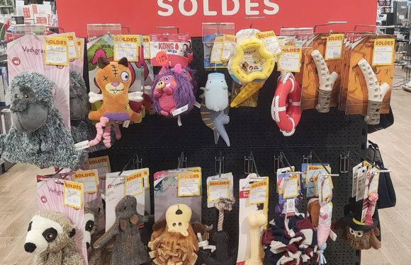 Les soldes Zoomalia