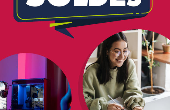 Les soldes LDLC