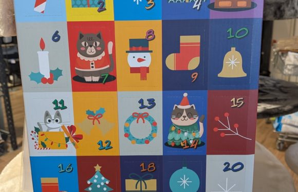 Les calendriers de l’Avent pour chien