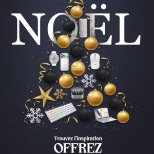 Noël avec LDLC