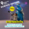 Science Odyssée