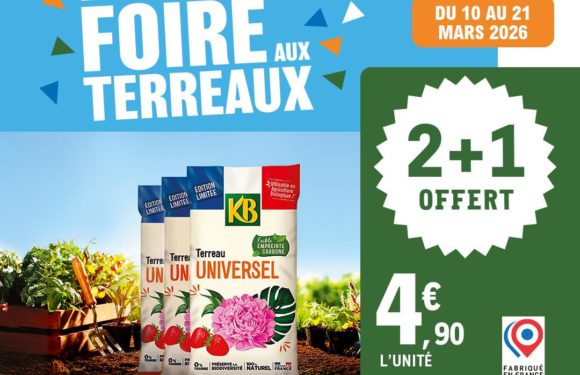 La Foire aux terreaux