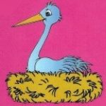 Manège "La Cigogne Enchantée"